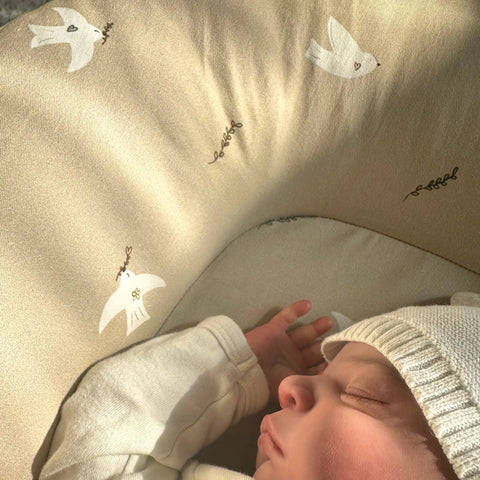 Бебешко гнездо – Птички